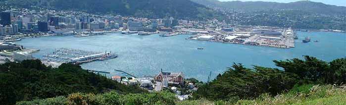 View of Wellington City from Mt Victoria lookout